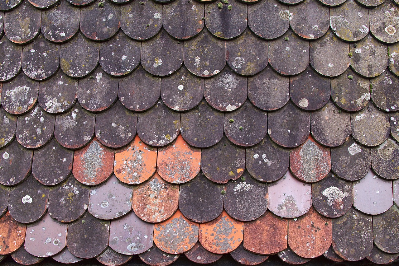 roofer replacing asphalt shingles Winnipeg